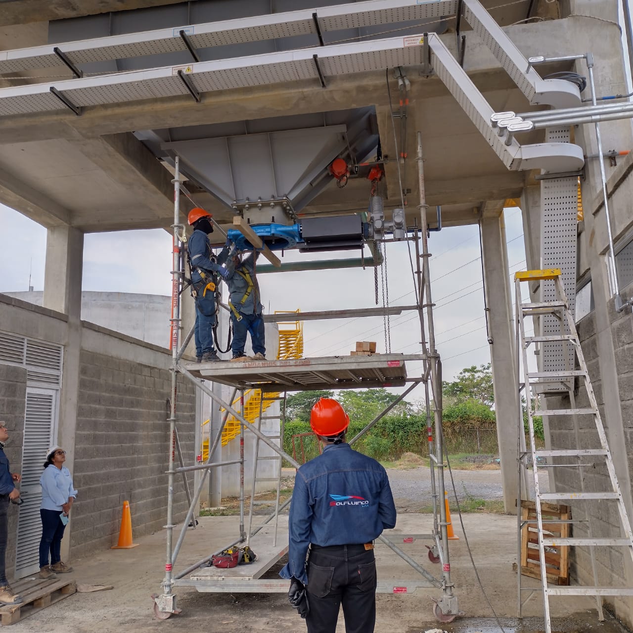Servicios
